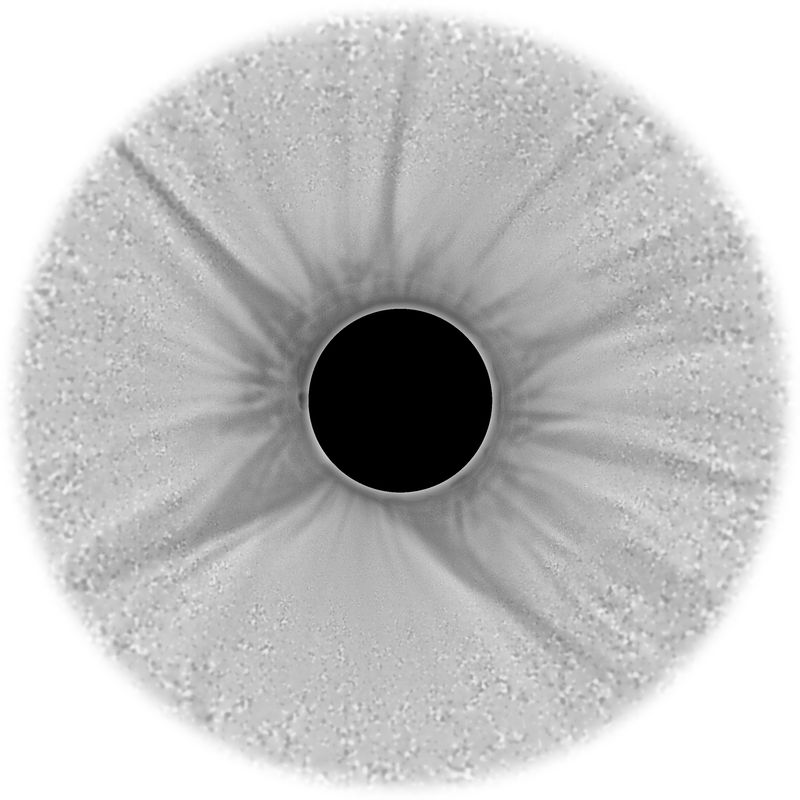 The same, as a negative